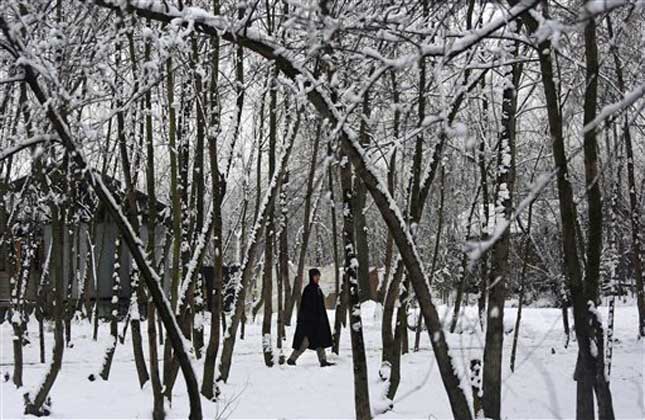 It has been very fortunate for the tourists of Kashmir and unfortunate for the residents that the valley is receiving snowfall in abundance. (AP Photo)