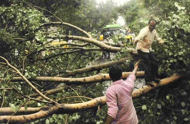 Delhi could witness a dust storm again today, many areas without power.