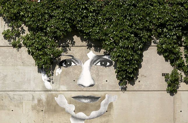How creative and intelligent can the street art get( Face Of The City, Toronto, Canada)