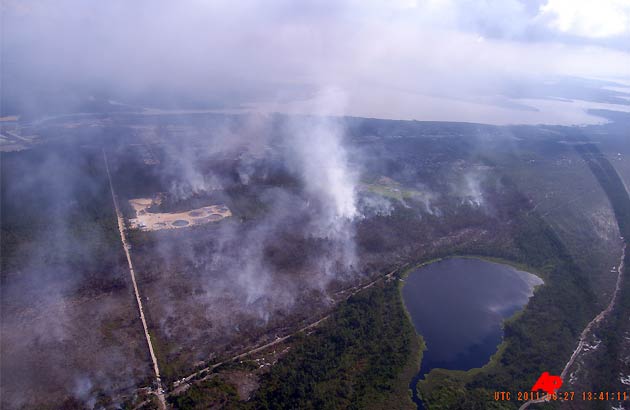 This aerial photograph provided by the Alabama Forestry Commission shows the wildfire burning in Gulf State Park in Orange Beach on Monday, June 27, 2011. (AP Photo/Alabama Forestry Commission)