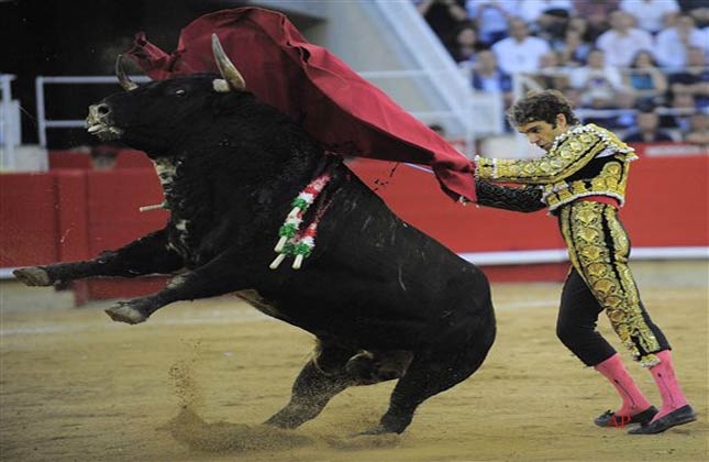 Spanish bullfighter Jose Tomas performs in the final bullfight to be held in the region of Catalonia at the Monumental bullring in Barcelona, Spain, Sunday, Sept. 25, 2011. Spain's powerful northeastern region of Catalonia bids farewell Sunday to the country's emblematic tradition of bullfighting with a final bash at the Barcelona bullring. (AP Photo/Manu Fernandez)