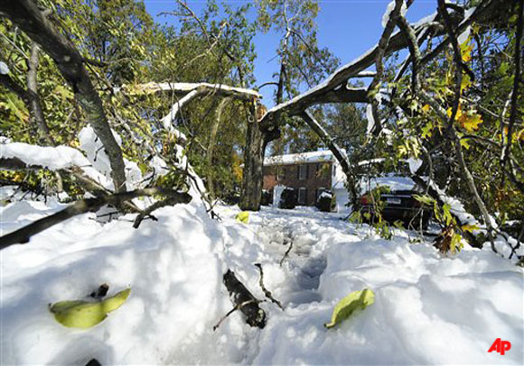 A tree split in half blocks a street after a snowstorm Windsor, Conn., Sunday, Oct. 30, 2011. A snowstorm with a ferocity more familiar in February than October socked the Northeast over the weekend, knocking out power to 2.3 million, snarling air and highway travel and dumping more than 2 feet of snow in a few spots as it slowly moved north out of New England. (AP Photo/Jessica Hill)