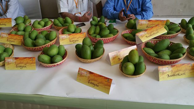 27th Mango Festival displayed a variety of mangoes under one roof.