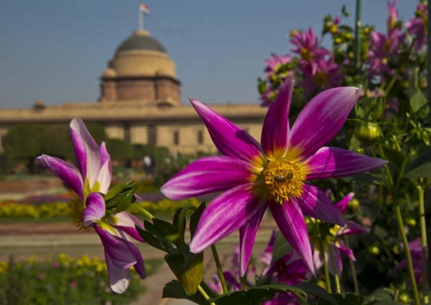 Beautiful view of Mughal Gardens