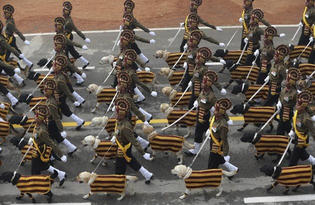 Indian army's dog squad march down Rajpath during the Republic Day parade in New Delhi, India.